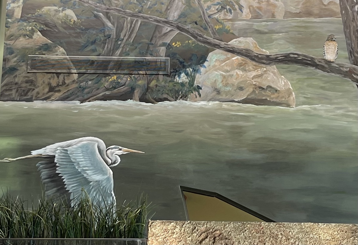 Shoal Creek Conservation Education Center